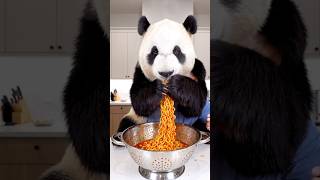 Cute panda eating spicy noodles 😂