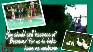 Bosinver Farm Cottages Self Catering Holiday Cottages In Cornwall