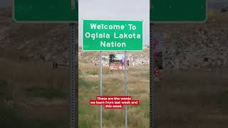 Can South Dakota Teens Save the Endangered Lakota Language?