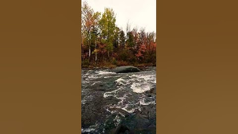 سورة الواقعة آية ٨٦-٨٩ | ﴿ فلولا إن كنتم غير مدينين ﴾ | Surah Al Waqiah ayat 86-89