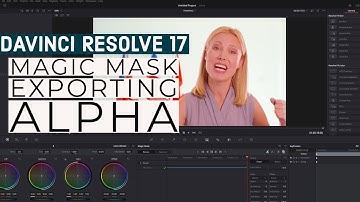Davinci Resolve 17 Magic Mask