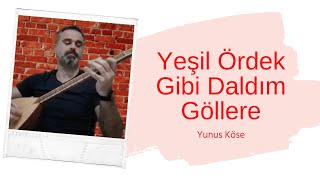 Yeşil Ördek Gibi Daldım Göllere - Yunus Köse