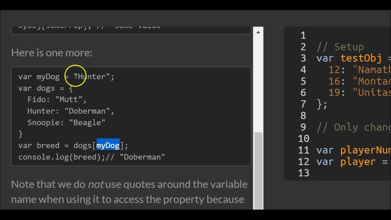 Accessing Objects Properties with Variables, freeCodeCamp Basic ...