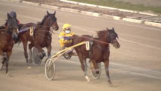 Vidéo de la course PMU PREMI SIBIR