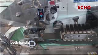 Multi-function pillow packing machine for bread DXD300