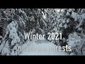 Snowy Winter 2021 in Latvian forests! DJI Mini 2 4k Latvijas sniegotie meži 2021 gada ziemā.