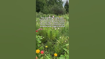 Every Vote Counts - Seriously!