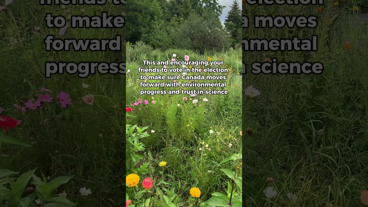 Every Vote Counts - Seriously!