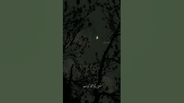 فذرهم يخوضوا و يلعبوا حتى يلاقوا يومهم الذي يوعدون تلاوتي من سورة المعارج ستوريات قرآن🤍 #ستوريات