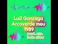 Luiz Gonzaga e João Silva - Arcoverde meu - 1989