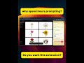 Generate AI Images 100x Faster with Whisk Automator | Google Whisk Bulk Image Generator