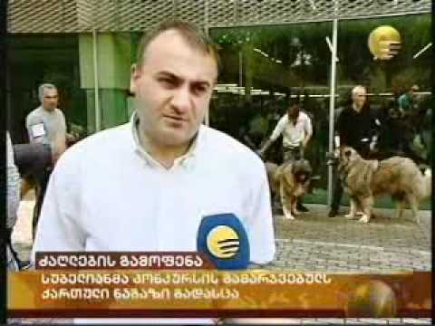 ვიქტორინის გამარჯვებული.flv