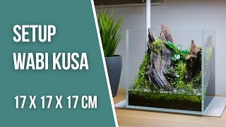 Wabi-Kusa Aquarium / Aquascape with aquatic plants and moss | Setup Video | Aquabase