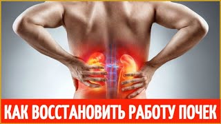 Как восстановить работу почек. Как восстановить почки после ковида