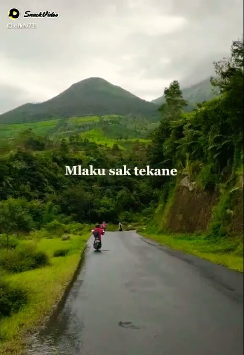 Realita Kehidupan