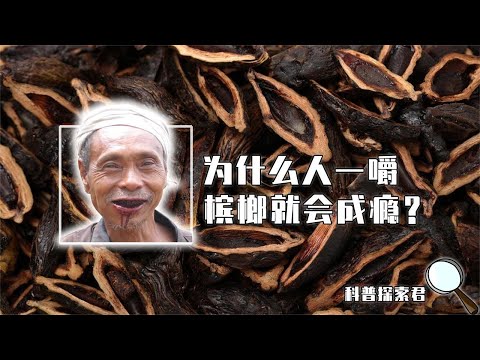 人一嚼槟榔就上瘾 揭秘槟榔产业背后的秘密 一口气看完它的危害