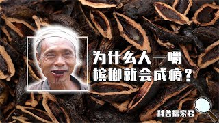 人一嚼槟榔就上瘾！揭秘槟榔产业背后的秘密！一口气看完它的危害