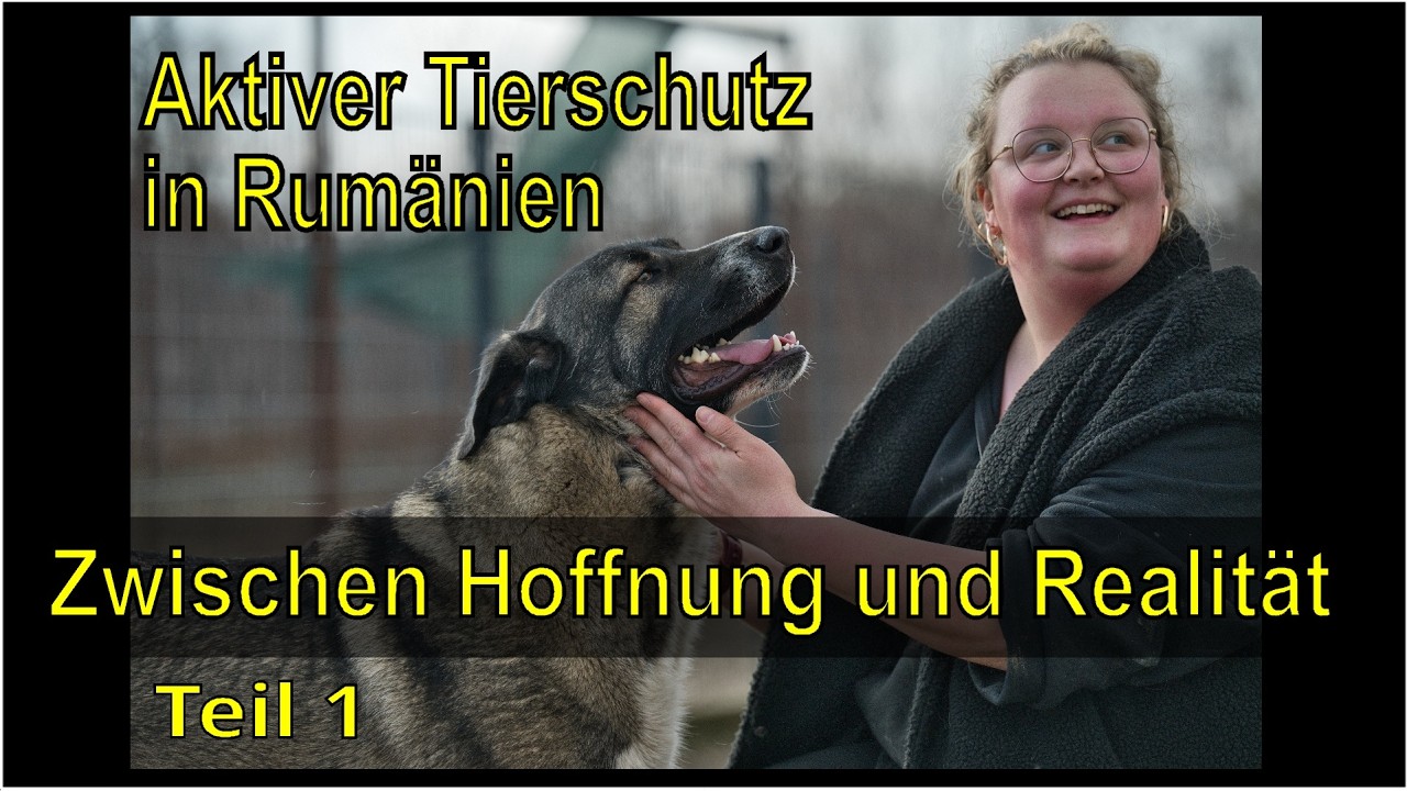 Hinter den Kulissen eines rumänischen Tierheims | Teil 1/2