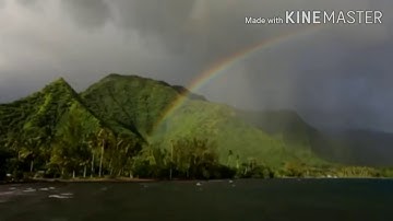 سورة الإخلاص - الفلق - الناس - الكافرون - النصر و المسد تلاوة خاشعة الشيخ عبد الرحمان السديس