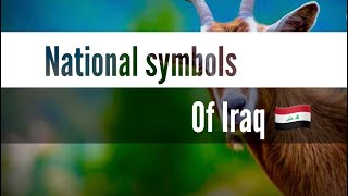 National symbols of Iraq