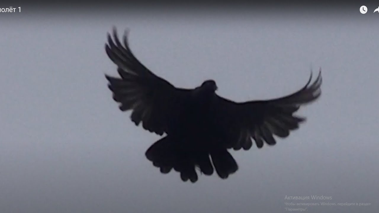 Каждый \"играет\" по своему - YouTube