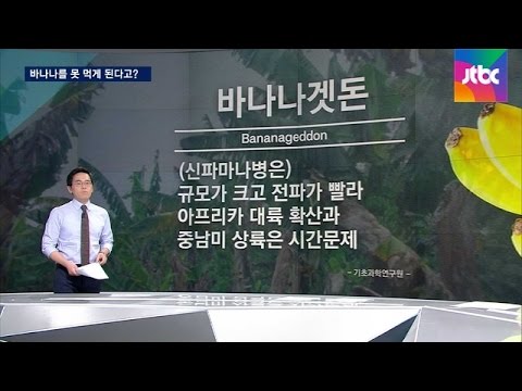 [팩트체크] 바나나를 못 먹게 된다고? 사실 확인해보니