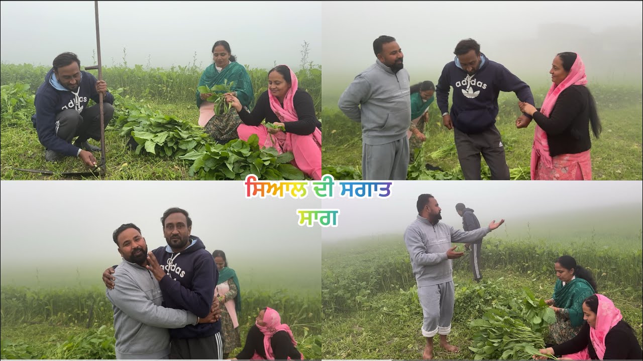 ਸਿਆਲ ਦੀ ਸਗਾਤ (ਟੀਮ ਨਾਲ ਰਲਕੇ ਬਣਾਇਆ ਸਾਗ )