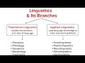 Linguistics and Its Branches | Theoretical &amp; Applied Linguistics Explained Simply