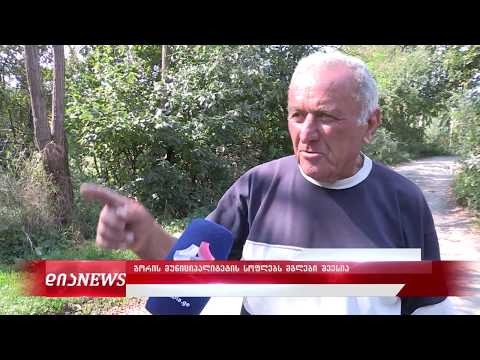 გორის მუნიციპალიტეტის სოფლებს მგლები შეესია 4.10.2019