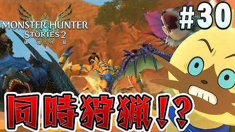 だいだらゼルダブレス３０