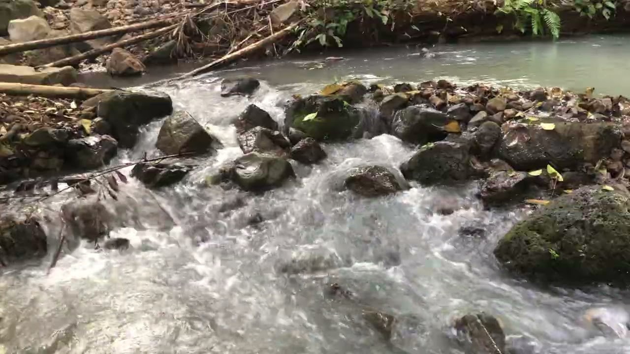 Calm Water Sounds for Sleep | Peaceful Nature ASMR