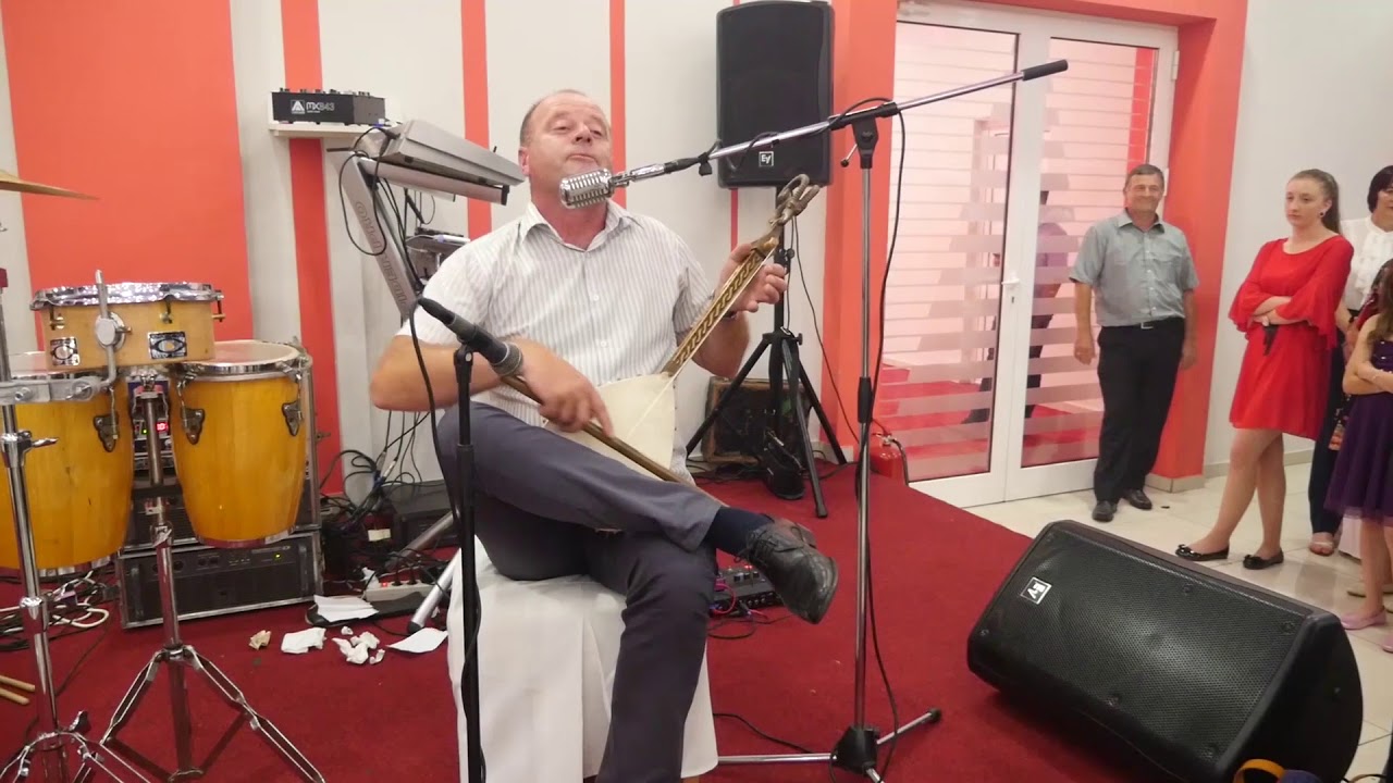 Narodni guslar Vojin Tepavcevic  - 