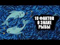 Рыбы - 10 Фактов об этом знаке зодиака