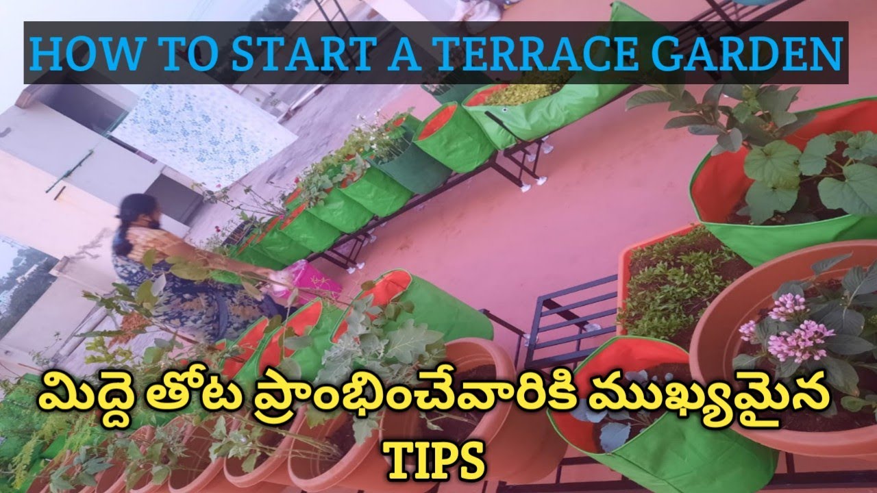 13.How to start a terrace garden - tips for starting a terrace garden ...