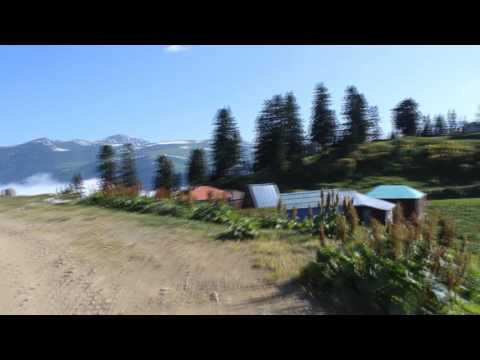 გომის მთა - მამბერი