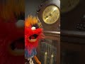 Time is ticking #animal #funny #comedy #asmr #plushie #trending #time #shorts #muppet #funny #humor