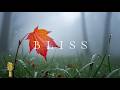 BLISS - The Stress-Relief Hook (Focuses on a busy mind)