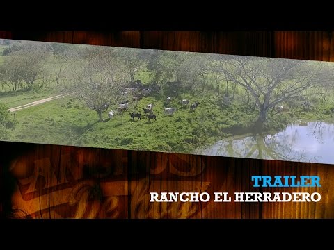 TRAILER RANCHO EL