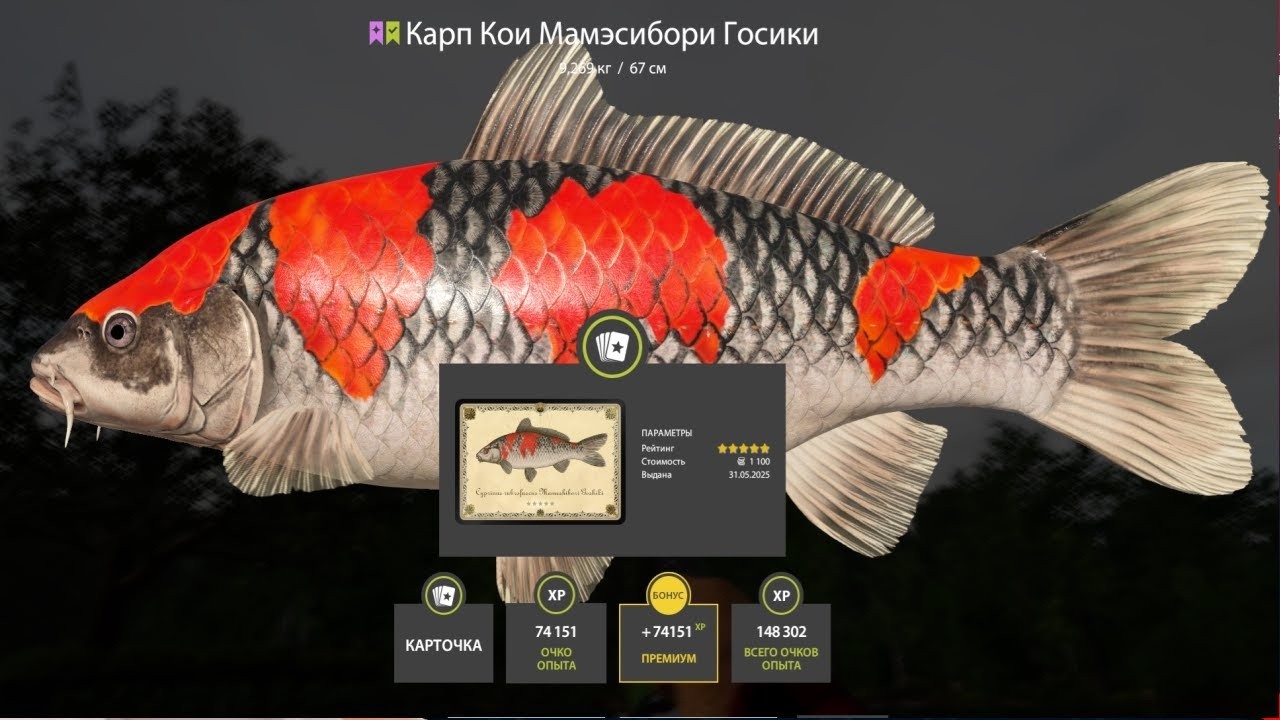 ➤ БЕСПЛАТНЫЕ РУЛЕТКИ КАЖДЫЕ 30 Минут 🔴 РОЗЫГРЫШИ - КАТУШКИ ЗОЛОТО ПРЕМЫ #русскаярыбалка4  #РР4