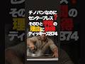 最初は無かったディッキーズのセンタープレス。あれが入った理由はこんな理由から。さすが合理的なアメリカ人の考える事は日本人とは全然違う。聞いたら納得しますよ。
