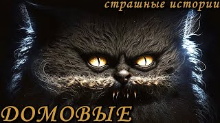 ДОМОВЫЕ. Истории про Домовых (5в1)