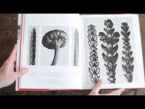 Episode 57 :: Karl Blossfeldt