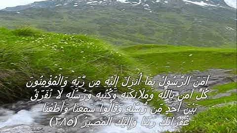 قرآن كريم بصوت القارئ: احمد العجمي || أجمل حالات واتس اب دينيه || تلاوة خاشعة 🌿