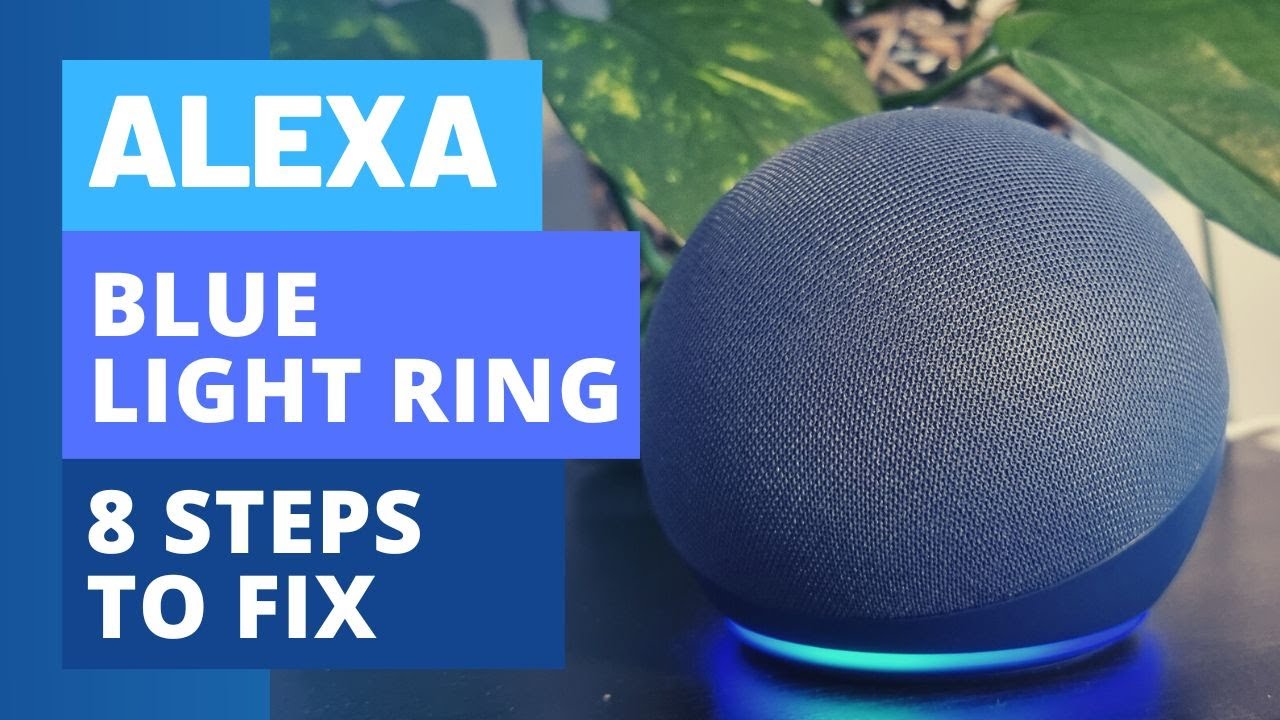 Why Is Alexa Not Talking Back on  Echo and How to Fix It