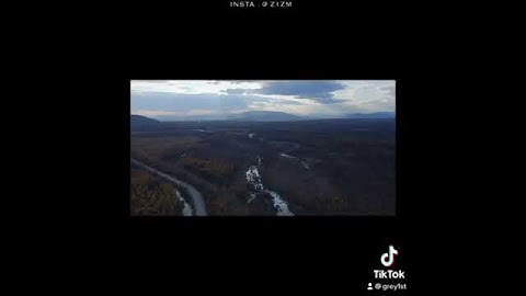 القارئ فارس عباد - سورة الشعراء