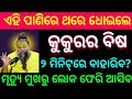 General Knowledge odia || Odia gk question and answer || odia gk quiz || gk2026 || #viralgk #odia