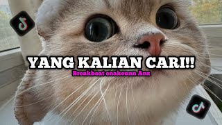DJ MASHUP ANJAY LAGI VIRAL X TANTAE V2 BREAKBEAT ENAKEUNN BY ANZ!!