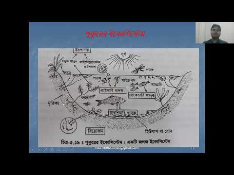 Botany   Hon&rsquo;s 2nd Year   223007    Lecture 08 HD
