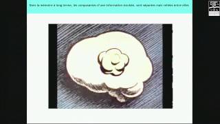 Planète conférences - Le cerveau pour allié en classe ? - Apprendre à l'horizon 2035
