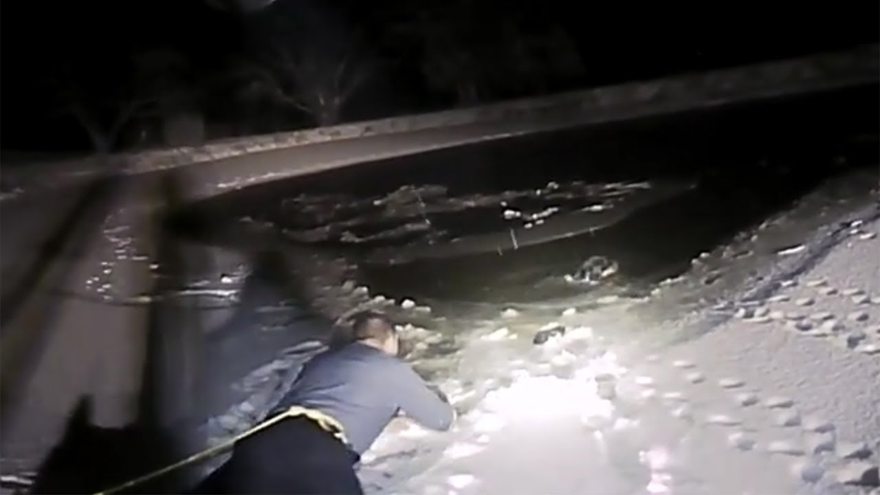 Police officer rescues dog that fell through the ice - YouTube